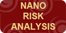 Nano Risk Analysis